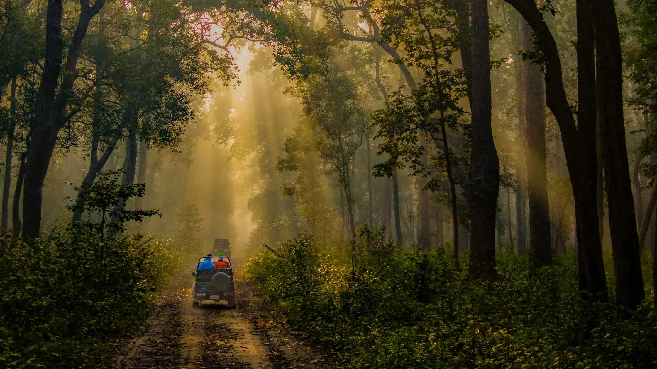 Jim Corbett travel package for family and couples in Uttarakhand